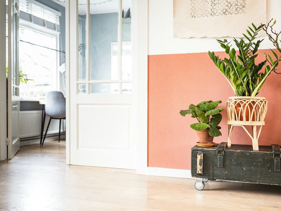 Bright Belgian office interior with plants and wooden furniture